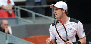 Andy Murray - © Christopher Levy (www.flickr.com)