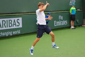 David Goffin - © Pluckytree (www.flickr.com)