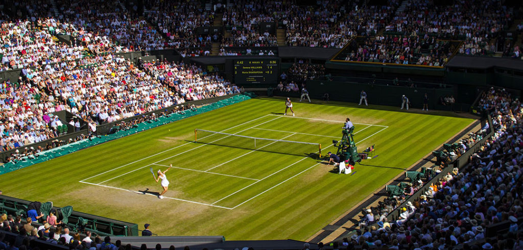 Wimbledon - © davidkenny91 (Pixabay)