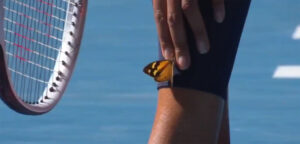 Naomi Osaka en vlinder - © Twitter