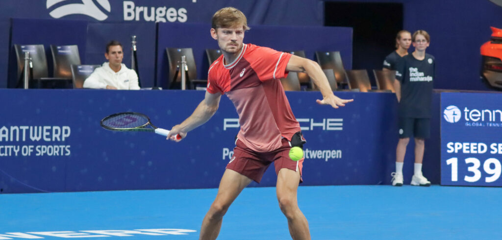 David Goffin - © Leo Stolck (Tennisplaza)